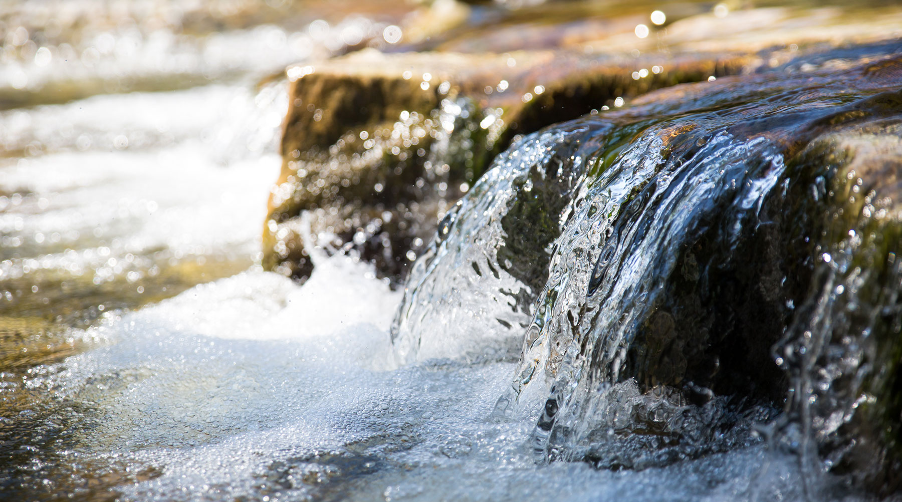 Camino Real Utility Company provides quality water resource recovery & reuse water services